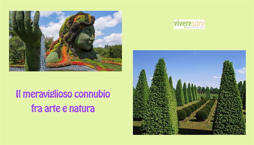 Topiaria, sculture verdi in giardino Topiaria, sculture verdi in giardino